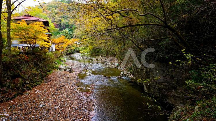 上帝釈峡の美しい紅葉 秋,紅葉,黄葉の写真素材