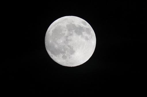 2025中秋の名月 2025中秋の名月 満月,中秋,仲秋の写真素材