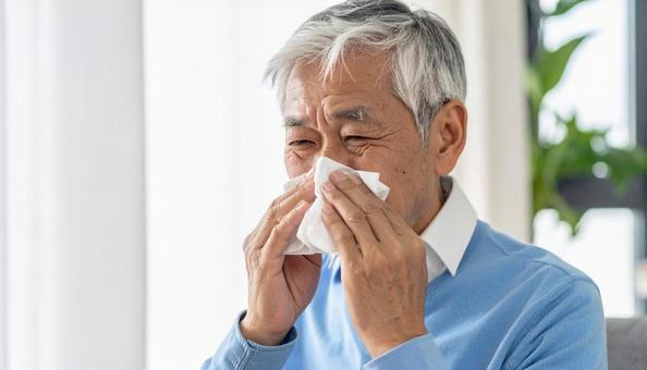 ティッシュで鼻をかむ日本人のシニア男性 ティッシュで鼻をかむ日本人のシニア男性の写真