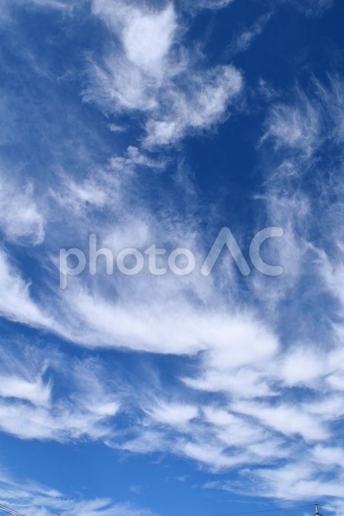 雲の表情　青空と白い雲 空,雲,青の写真素材