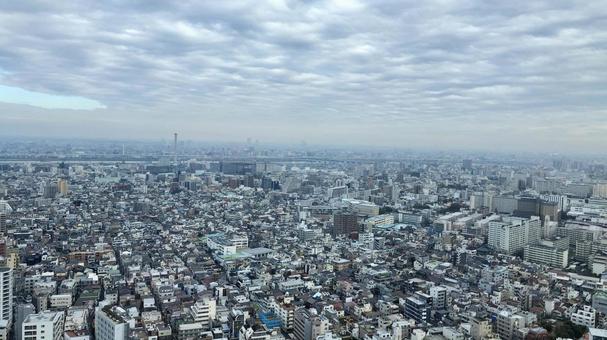 スカイツリーからの景色の写真