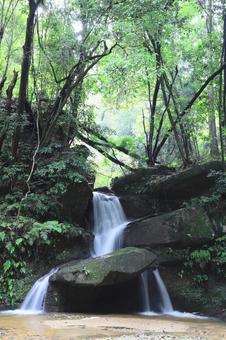 Photo, natural, landscape, healing, 