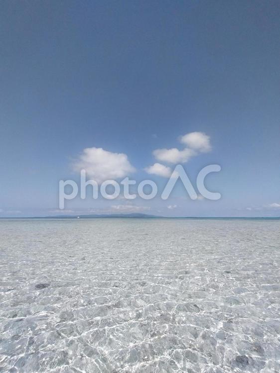 透き通った遠浅の海と青空の縦構図 海,透明,遠浅の写真素材