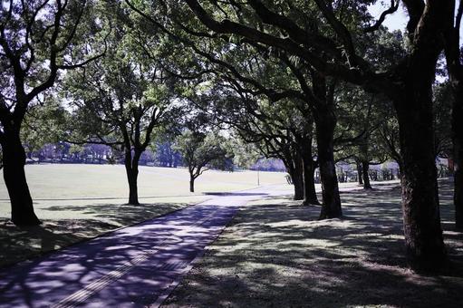 公園の木陰のある風景 公園の木陰のある風景の写真