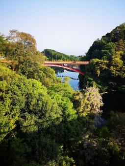 渓谷 渓谷 渓谷,山,橋の写真素材
