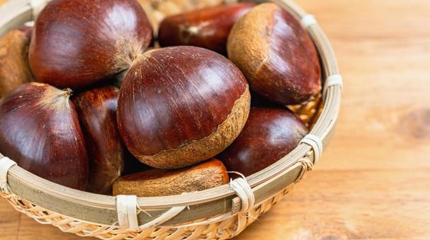 栗 愛媛県産 栗,愛媛県産,竹ざるの写真素材