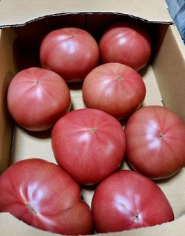 箱トマト 箱トマトの写真