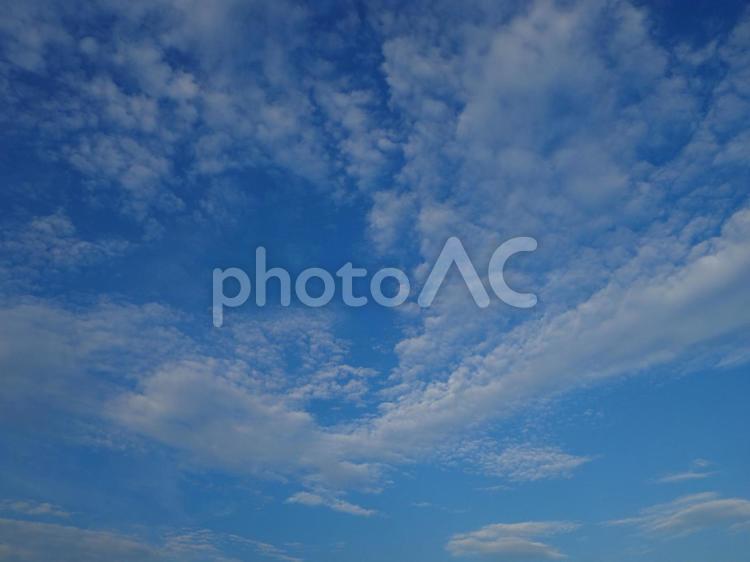 夏の青空と白雲・江戸川区葛西の上空 夏,雲,夏空の写真素材