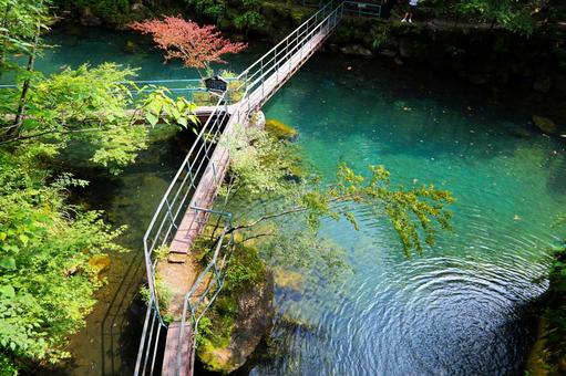 白龍湖 白龍湖の写真