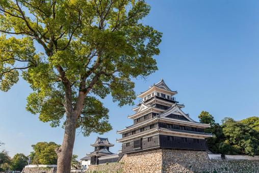 大分県の青空の下の中津城（扇城） 晴れ,日本,大分県の写真素材