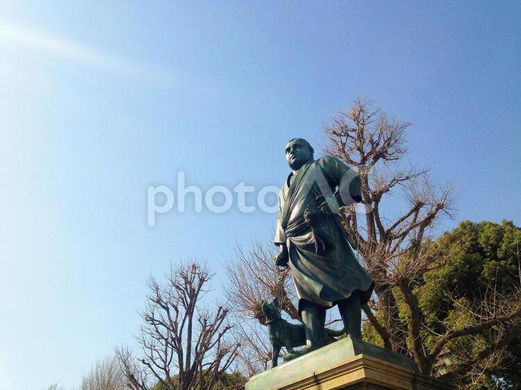 東京風景・上野公園 上野公園,上野恩賜公園,西郷隆盛像の写真素材