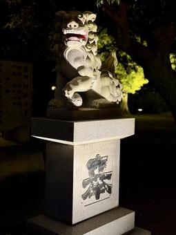 夜のあわら市　薬師神社　狛犬 自然,狛犬,モミジの写真素材
