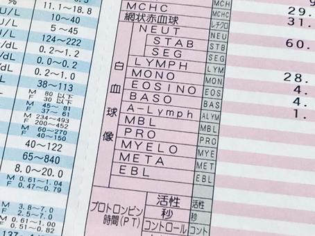 血液検査の結果 血液検査の結果 血液検査,検査結果,人間ドックの写真素材