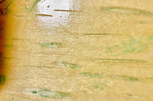 艶のある木の背景テクスチャの写真