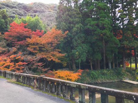 光市指定史跡　向山文庫周辺の風景 山口県,光市,指定史跡の写真素材
