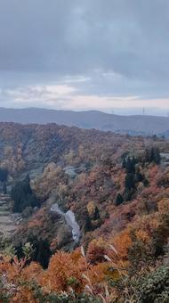 魚沼スカイラインの紅葉 紅葉,魚沼スカイライン,秋の写真素材