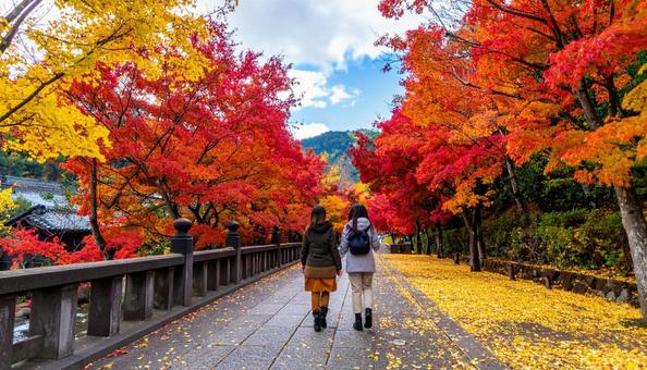 紅葉狩り　 紅葉を楽しむ女性たちの写真