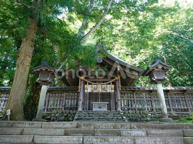 諏訪大社　上社前宮 諏訪大社,上社前宮,長野県の写真素材