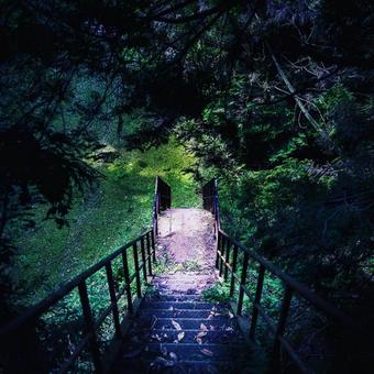 秘密の場所への写真