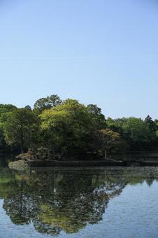 Photo, shuhin shrine, a shrine, trees, 