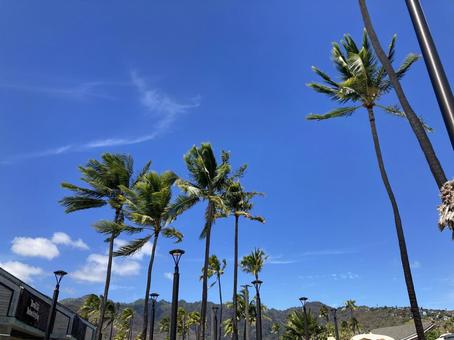 ハワイの風景A ハワイの風景A ハワイ,青空,空の写真素材