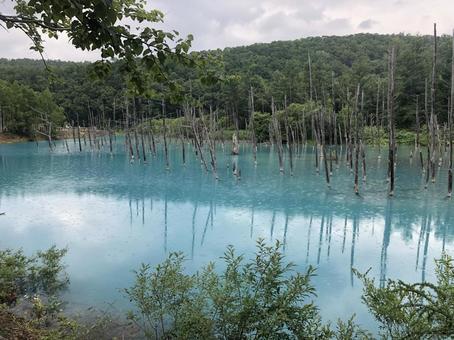 青い池 風景,景色,絶景の写真素材