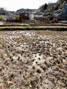 2月、春を迎えた稲刈り後の水田風景 田んぼ,水田,稲刈りの写真素材