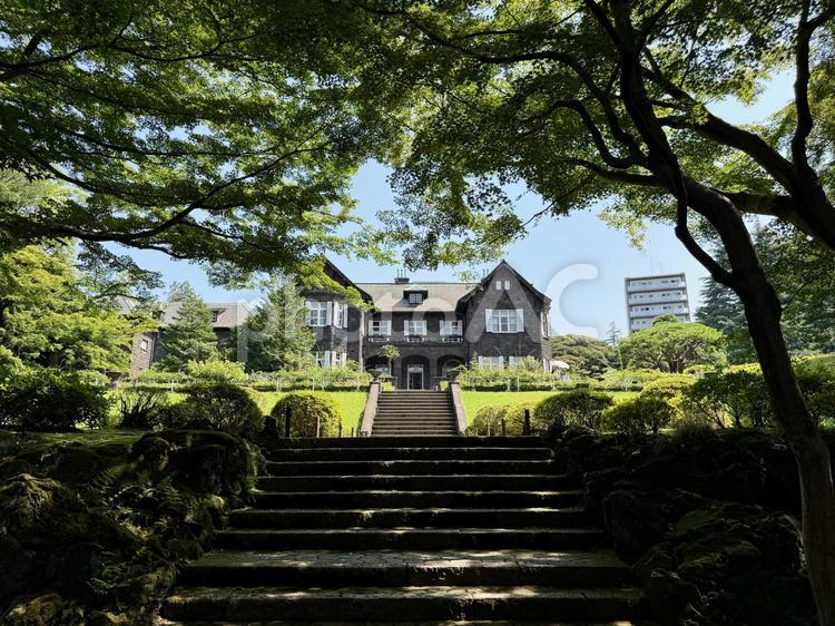 旧古河邸　旧古河庭園　7月 旧古河邸,旧古河庭園,洋館の写真素材