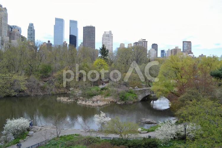 ニューヨーク・セントラルパークの景色 ニューヨーク,セントラルパーク,セントラル・パークの写真素材