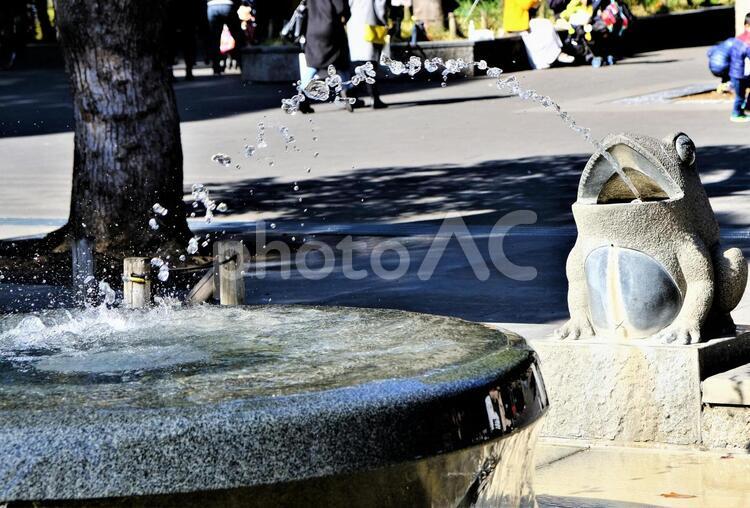 しぶきのテクスチャ５ しぶき,上野公園,カエルの写真素材