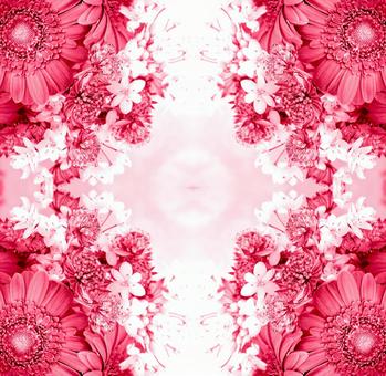 Mainly red and white floral image material, JPG Mainly red and white floral image material, JPG