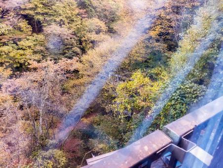 旅館の窓から紅葉 紅葉,窓,部屋の写真素材