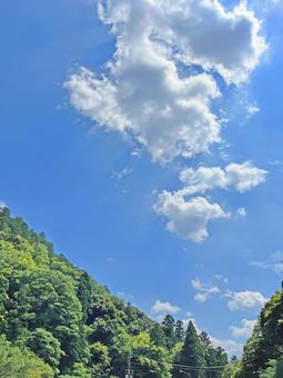 山から見上げる雲 山から見上げる雲の写真