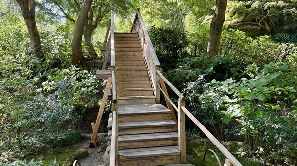 自然の階段 自然の階段 明月院,寺社仏閣,庭の写真素材