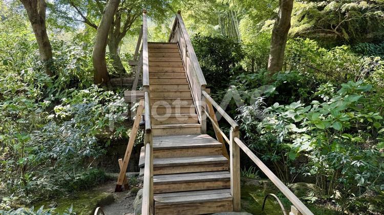 自然の階段 明月院,寺社仏閣,庭の写真素材