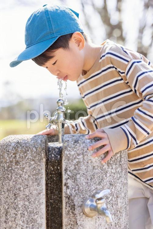 公園の水道で水を飲む男の子 水分補給,水道,公園の写真素材