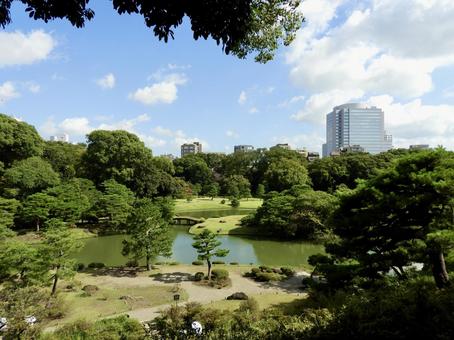 特別名勝六義園4 特別名勝六義園4 六義園,庭園,大名庭園の写真素材