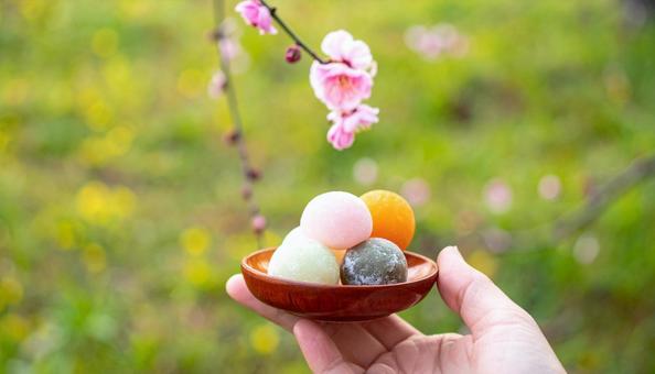 月見団子 茶菓子 月見団子 茶菓子の写真