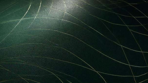 緑革に刻まれた曲線模様 緑革に刻まれた曲線模様の写真