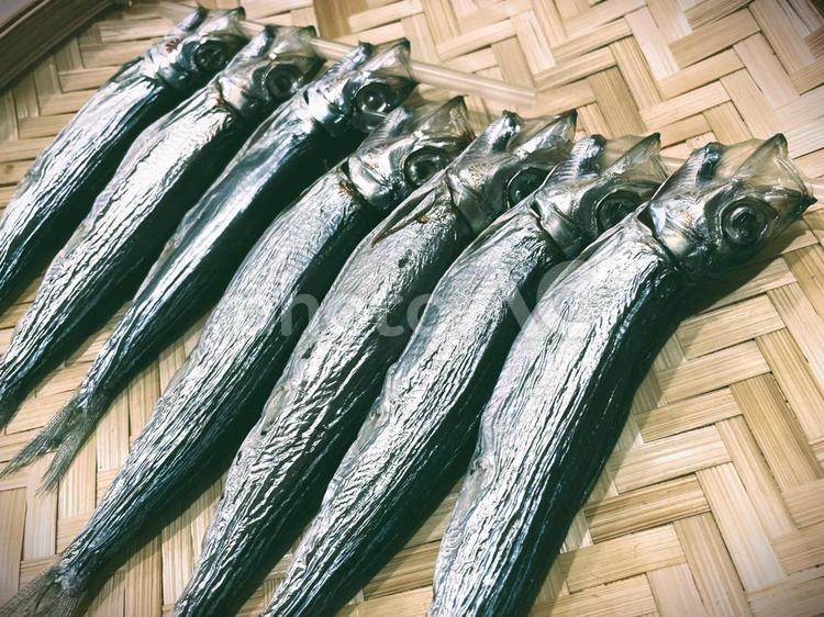 うるめいわし丸干し８ うるめいわし,丸干し,うるめの写真素材
