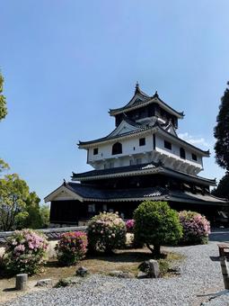 岩国城の写真