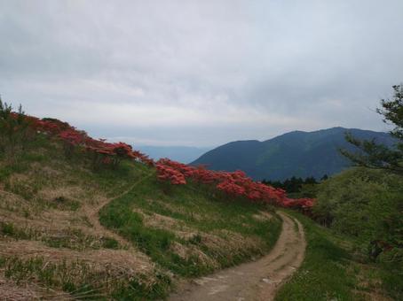 Go to Mount Katsuragi, JPG