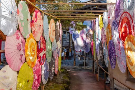 仙台八坂神社 神社,仙台八坂神社,晩秋の写真素材