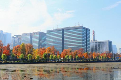紅葉の並木と法務省と警視庁とお堀　１ 法務省,官庁街,紅葉の写真素材
