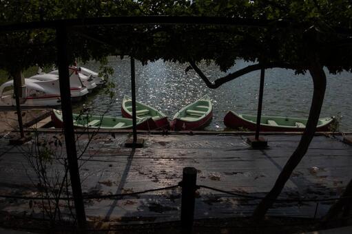 池の手漕ぎボート ボート,手漕ぎボート,池の写真素材