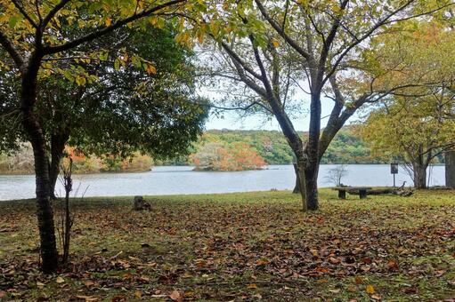 湖の色づき始めた初秋の風 湖面,初秋,色づき始めの写真素材