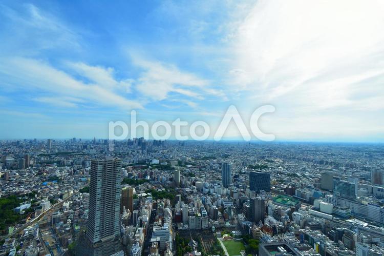 ビルと青空　都会と青空 大都会,ビル,都市風景の写真素材