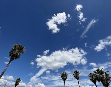 夏空 夏空の写真