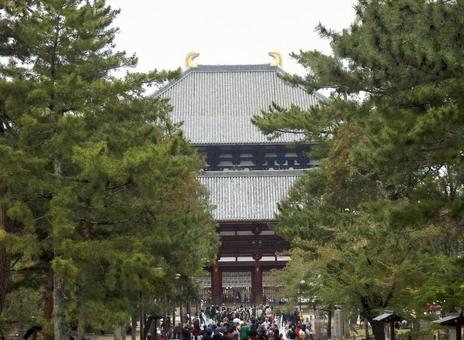 【風景写真】東大寺中門・大仏殿の風景 奈良,東大寺,大仏殿の写真素材