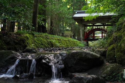 弥彦神社の神橋とせせらぎ 弥彦神社,彌彦神社,新潟の写真素材
